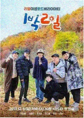 皮皮影院阶段测评报告示例图表